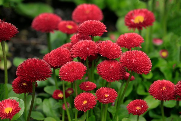 Brilliant lighting solutions to elevate your uk loft with stunning exposed brick walls